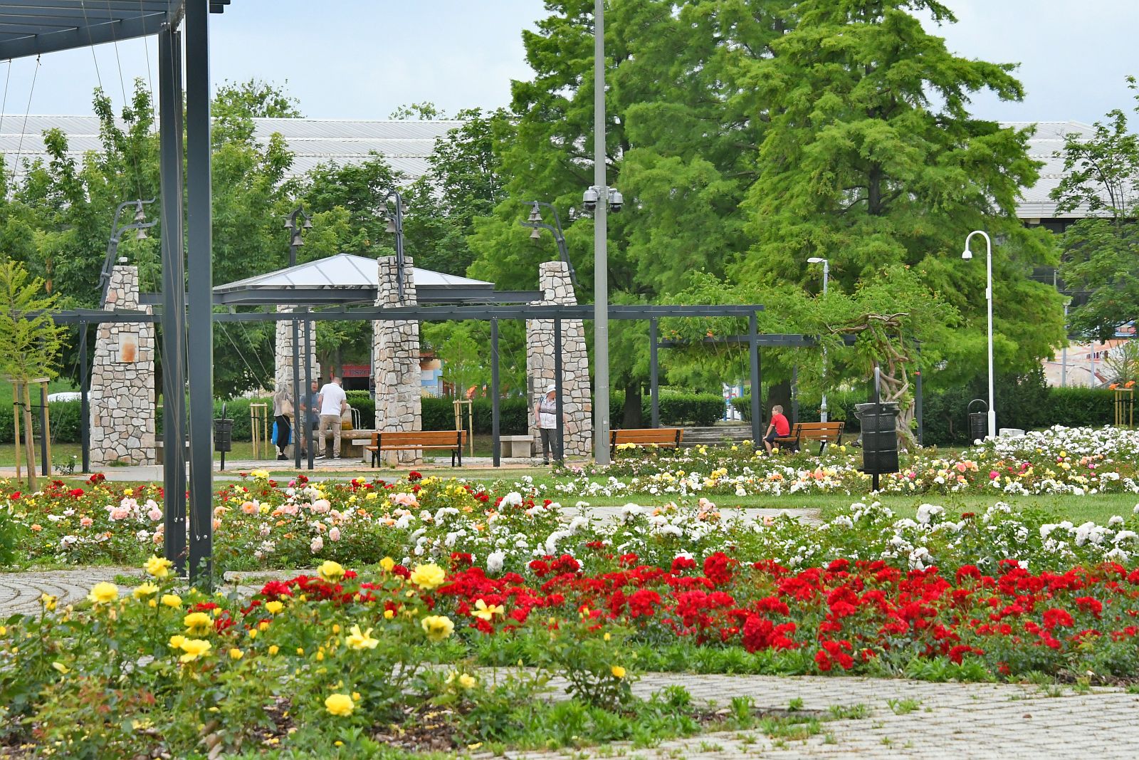 Minden időben csodaszép a megújult Rózsa liget